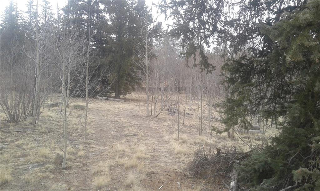 649 Quiver Road Jefferson, CO 80456 - Photo 4 of 5 a view of a yard with trees in the background