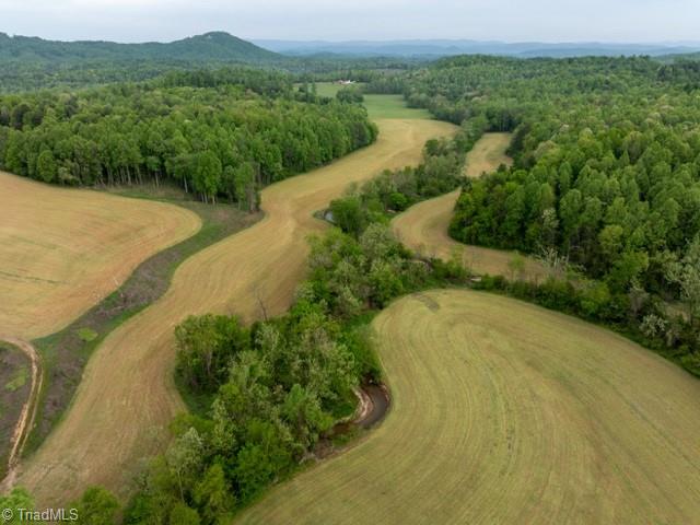 Tbd German Farm Road Boomer, NC 28606 - Photo 7 of 50