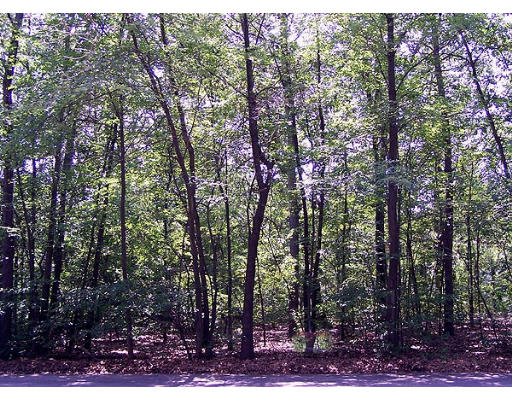 Lot 0 Mohegan Springfield Ma Springfield, MA 01104 - Photo 1 of 1