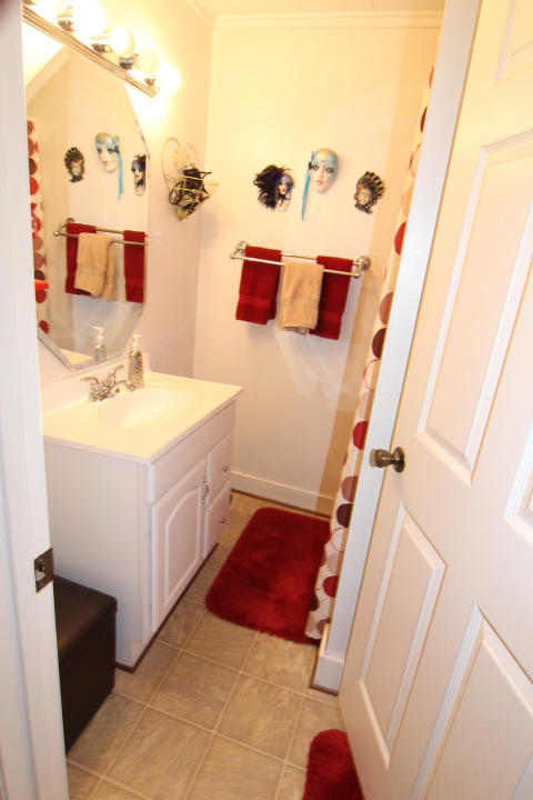 6545 Calloway Road Loudon, TN 37774 - Photo 9 of 20 6545 Calloway Road Bathroom 1 David Pozy