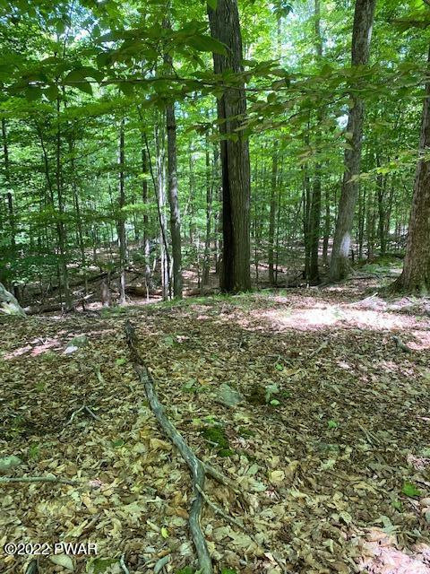 38 Mustang Road Lake Ariel, PA 18436 - Photo 3 of 15