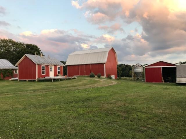 1350 South Pittsford Road Pittsford, MI 49271 - Photo 38 of 51 1350 S Pittsford -IMG-0557