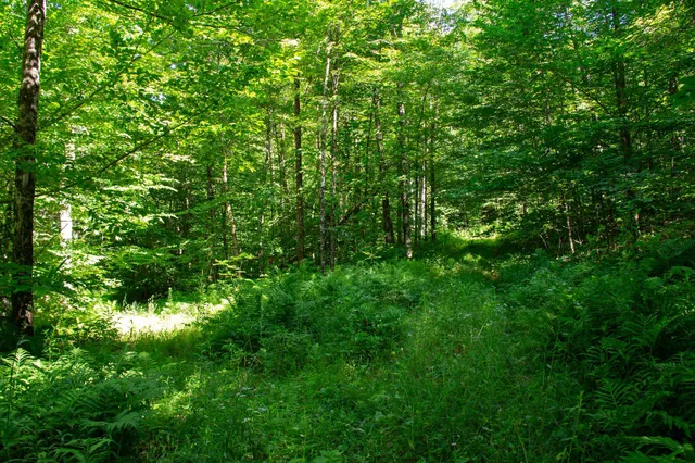 $209,000 | 0 Beaver Pond Road, Hinesburg, VT 05461