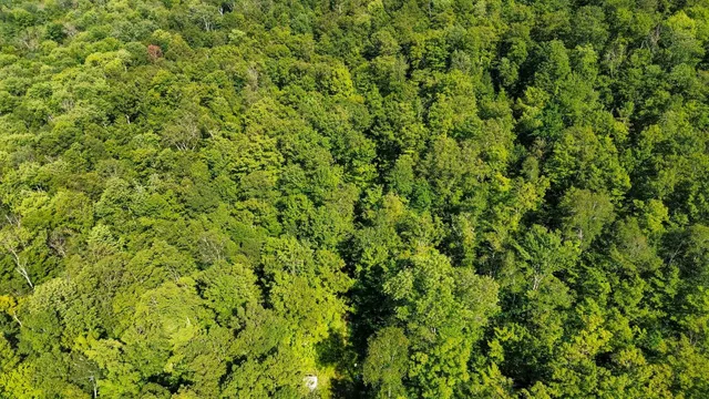 $209,000 | 0 Beaver Pond Road, Hinesburg, VT 05461