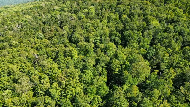 $209,000 | 0 Beaver Pond Road, Hinesburg, VT 05461