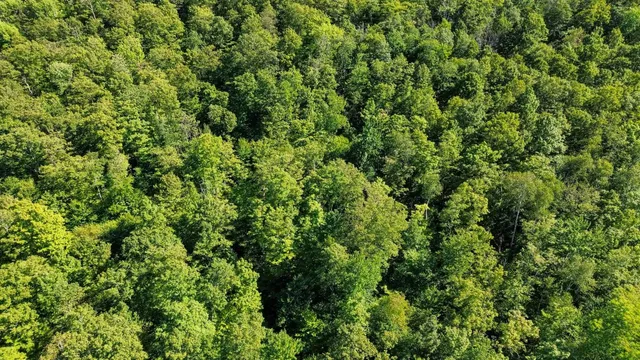 $209,000 | 0 Beaver Pond Road, Hinesburg, VT 05461