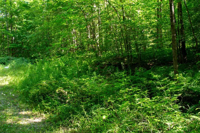 $209,000 | 0 Beaver Pond Road, Hinesburg, VT 05461