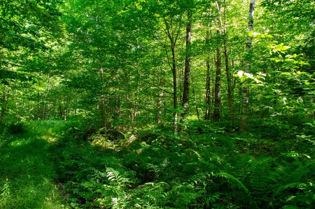 $209,000 | 0 Beaver Pond Road, Hinesburg, VT 05461