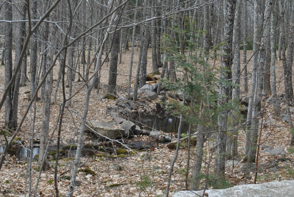 173 Deering Neighborhood Road Springvale, ME 04083 - Photo 25 of 25 Photo