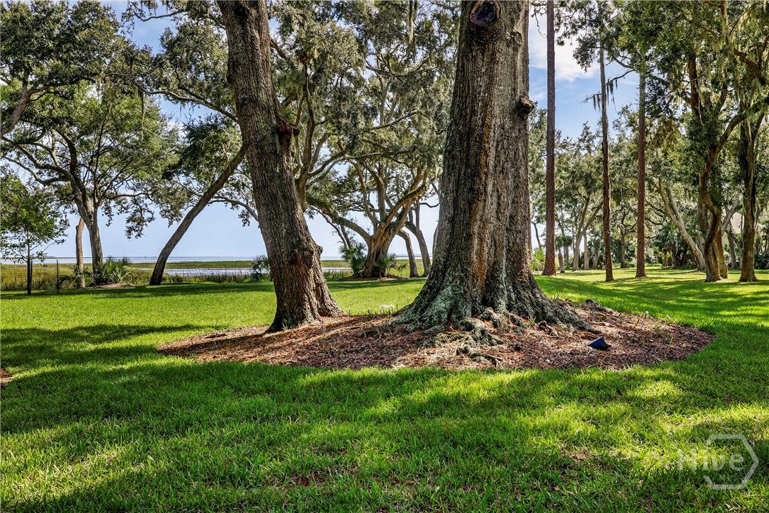 1 Tapestry Lane Savannah, GA 31411 - Photo 2 of 37