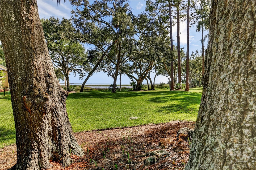 1 Tapestry Lane Savannah, GA 31411 - Photo 24 of 37