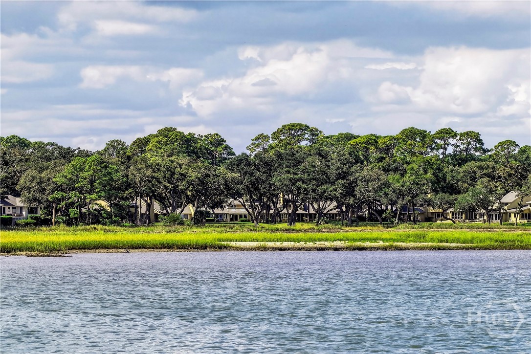 1 Tapestry Lane Savannah, GA 31411 - Photo 35 of 37