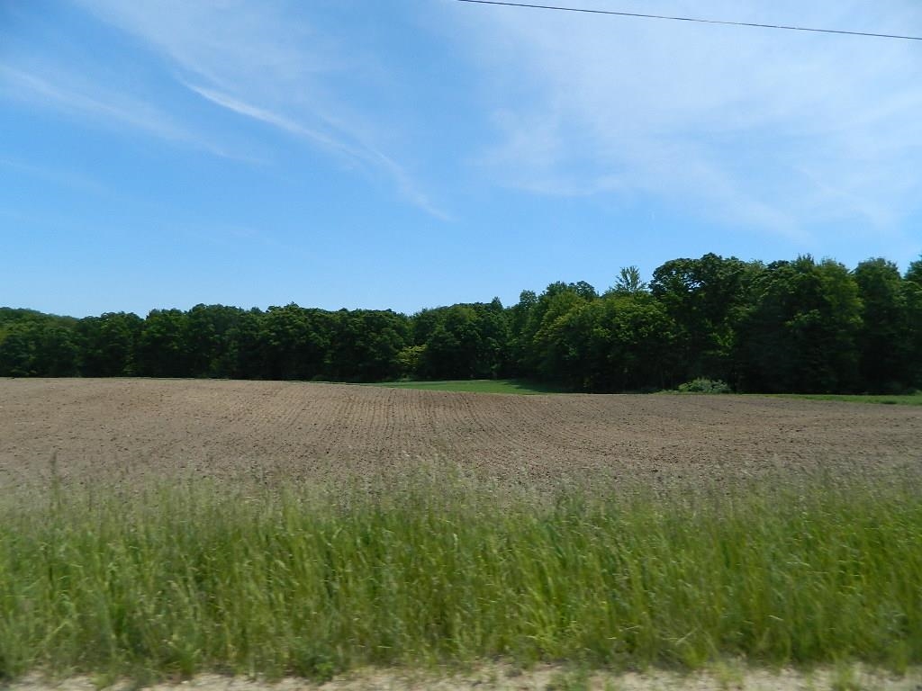 5877 Cutler Road Northeast Edmore, MI 48829 - Photo 5 of 6