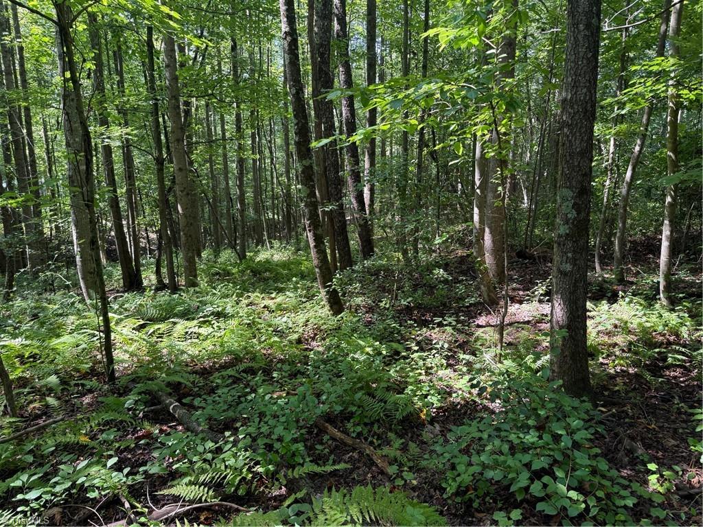Lot 22 Austin Traphill Road Traphill, NC 28685 - Photo 6 of 8