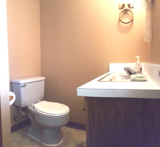 617 Stonegate Road New Lenox, IL 60451 - Photo 15 of 18 a bathroom with a sink a toilet and a mirror