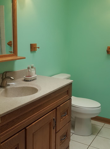 617 Stonegate Road New Lenox, IL 60451 - Photo 8 of 18 a bathroom with a sink and a toilet