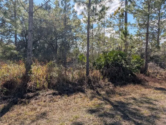 $15,000 | 711 Ixora Drive, Lake Wales, FL 33898