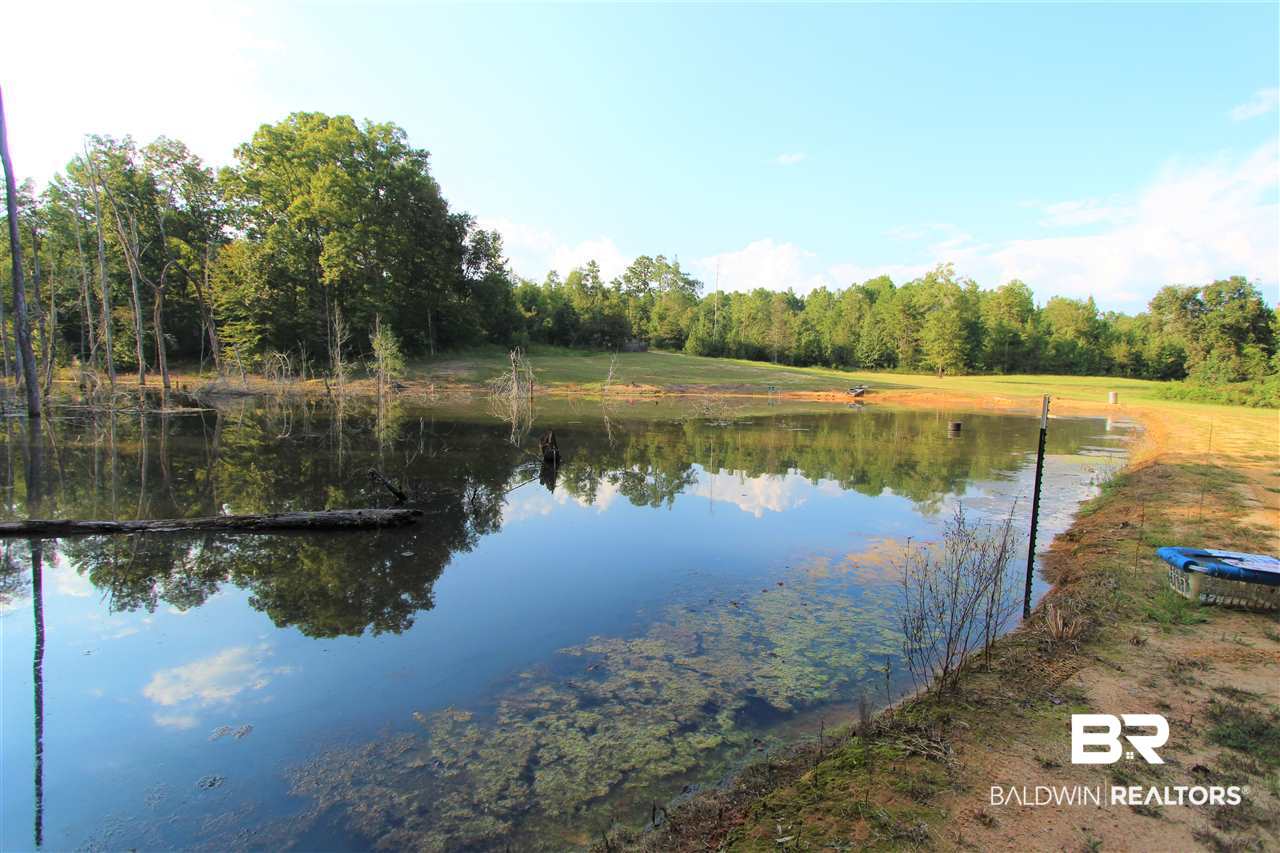 794 Dry Lake Road Luverne, AL 36049 - Photo 1 of 48 Main
