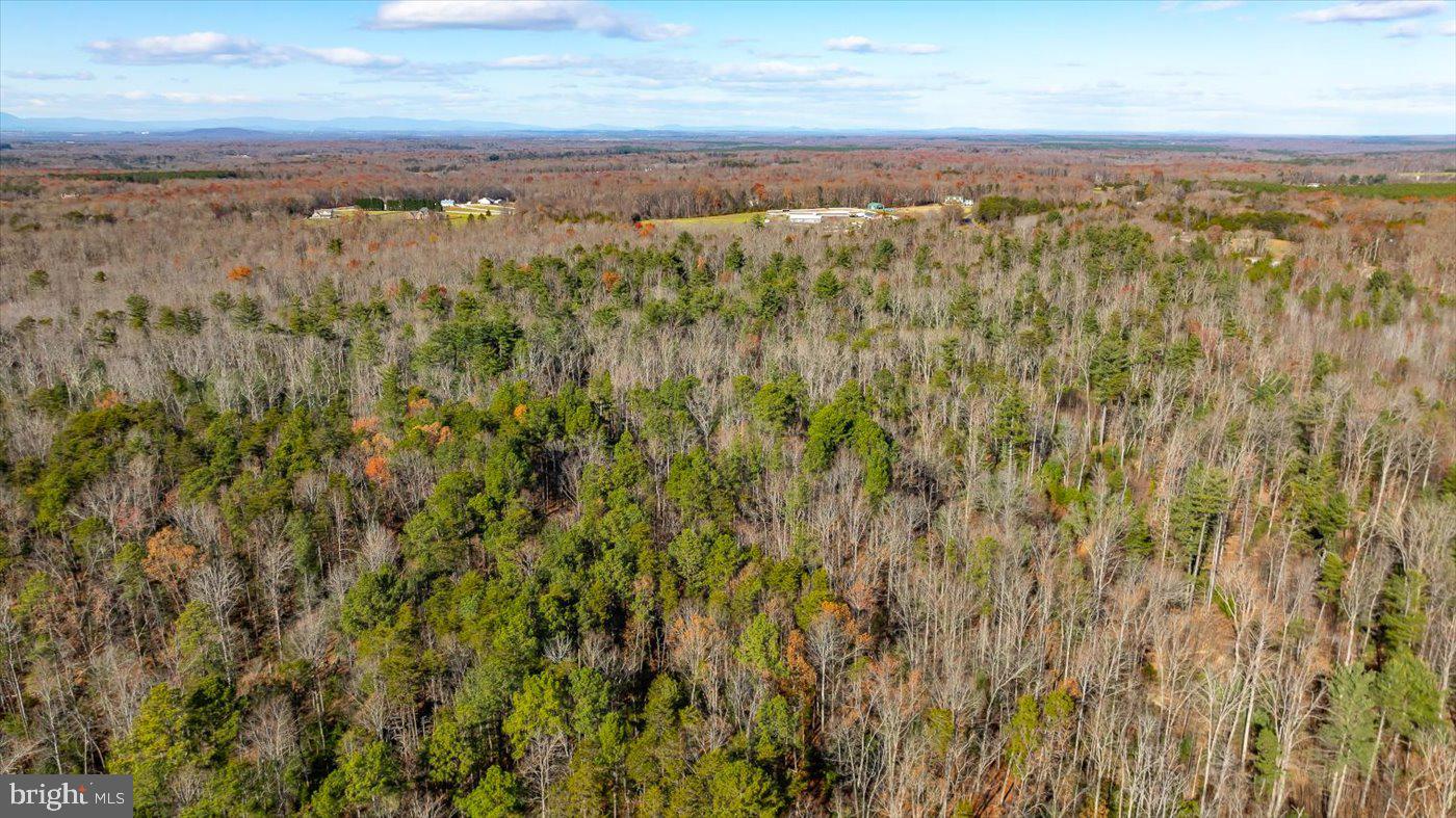 0 Old Road Locust Grove, VA 22508 - Photo 12 of 19