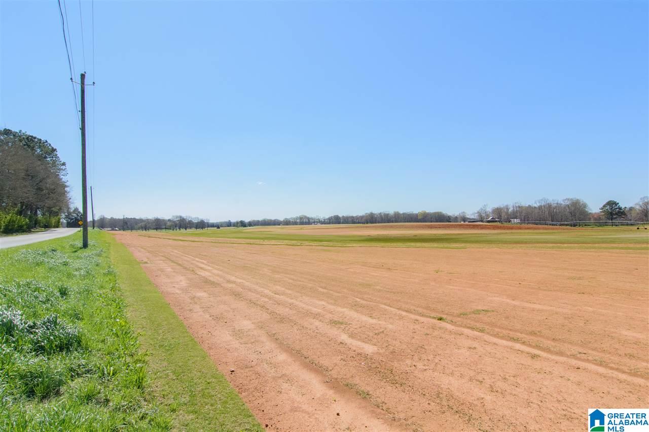 193 Old Lokey Ferry Road Wilsonville, AL 35186 - Photo 36 of 36