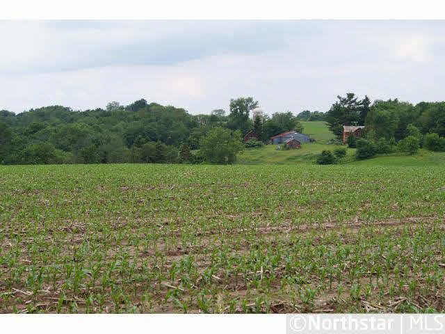 0 Rall Bluff Road Alma, WI 54610 - Photo 10 of 10 Gallery Image 10