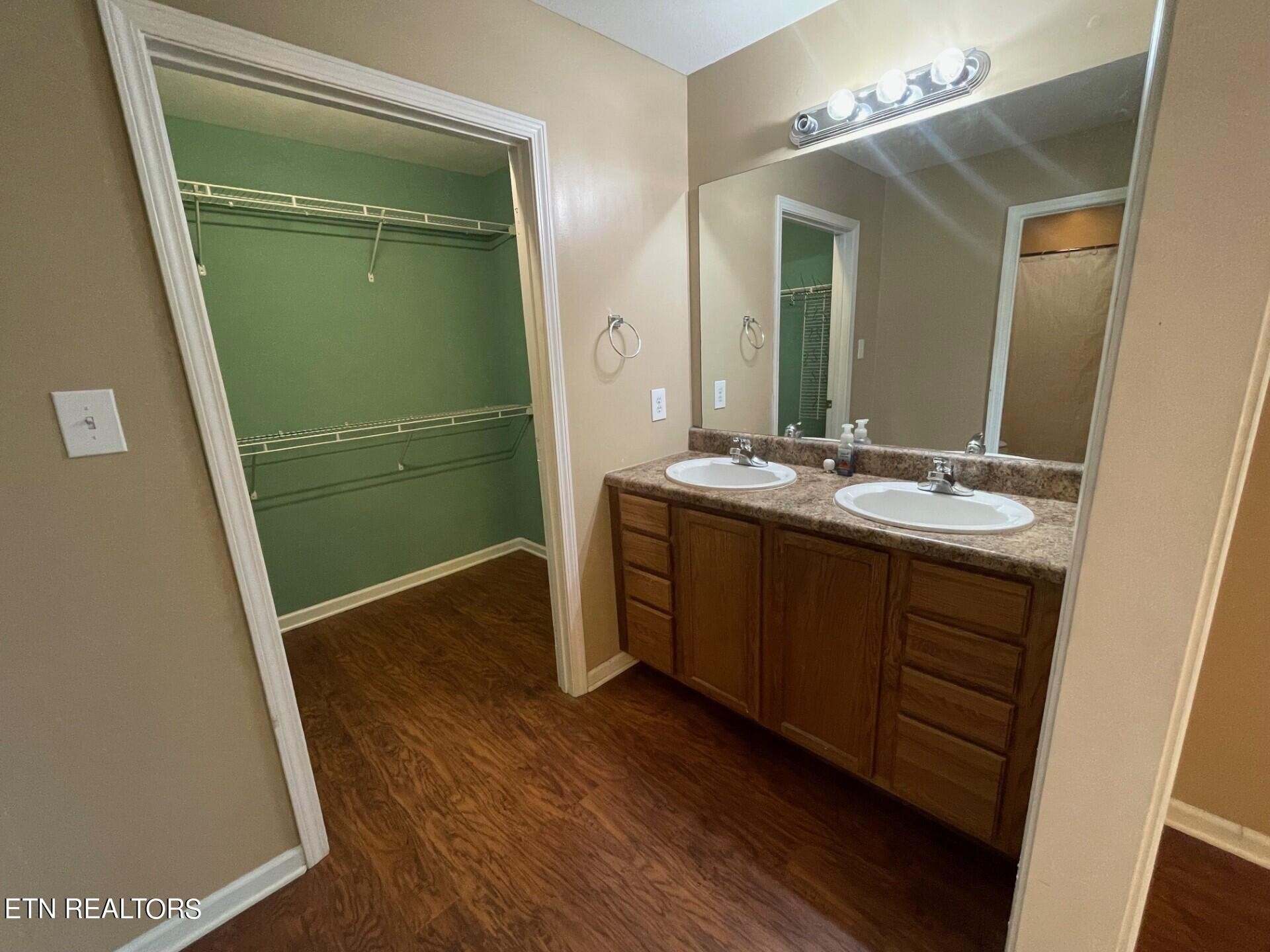 5409 Old Niles Ferry Road Maryville, TN 37801 - Photo 21 of 43 a bathroom with a sink and a mirror