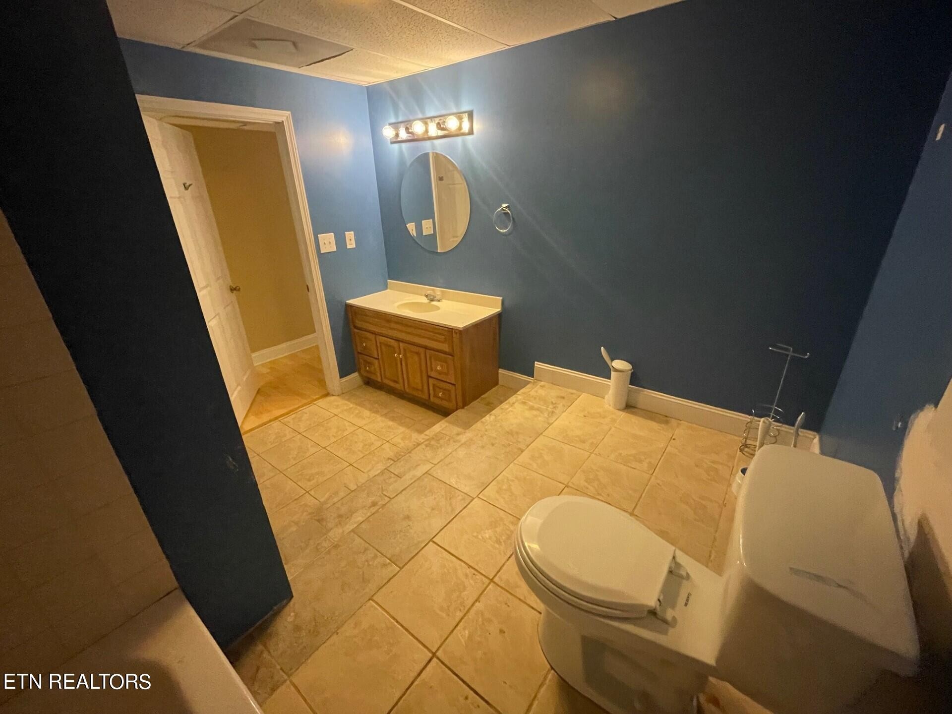 5409 Old Niles Ferry Road Maryville, TN 37801 - Photo 39 of 43 a bathroom with a sink and a mirror