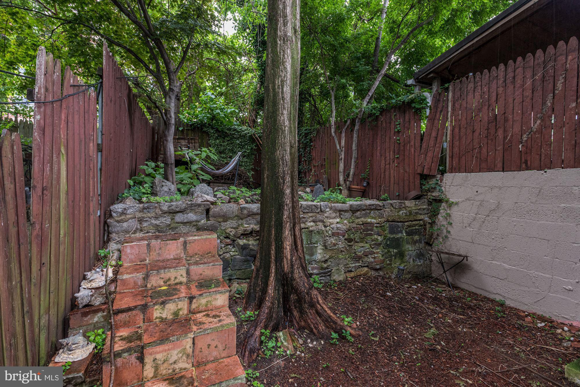 633 North Paca Street Baltimore, MD 21201 - Photo 22 of 29 Outdoor Oasis