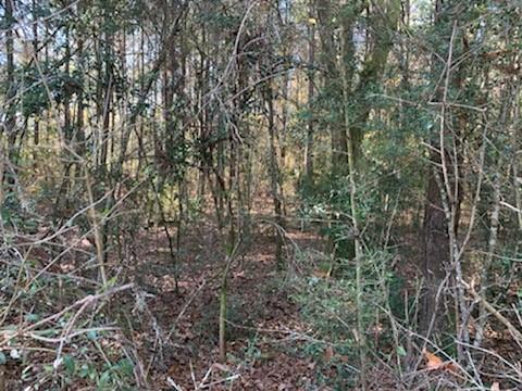 0 Olive Branch Road Hammond, LA 70403 - Photo 1 of 4 Gallery Image 1