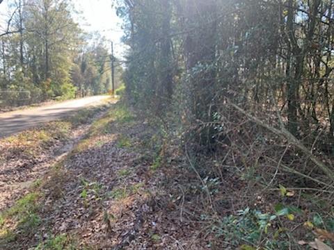 0 Olive Branch Road Hammond, LA 70403 - Photo 2 of 4 Gallery Image 2