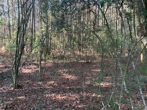 0 Olive Branch Road Hammond, LA 70403 - Photo 4 of 4 Gallery Image 4