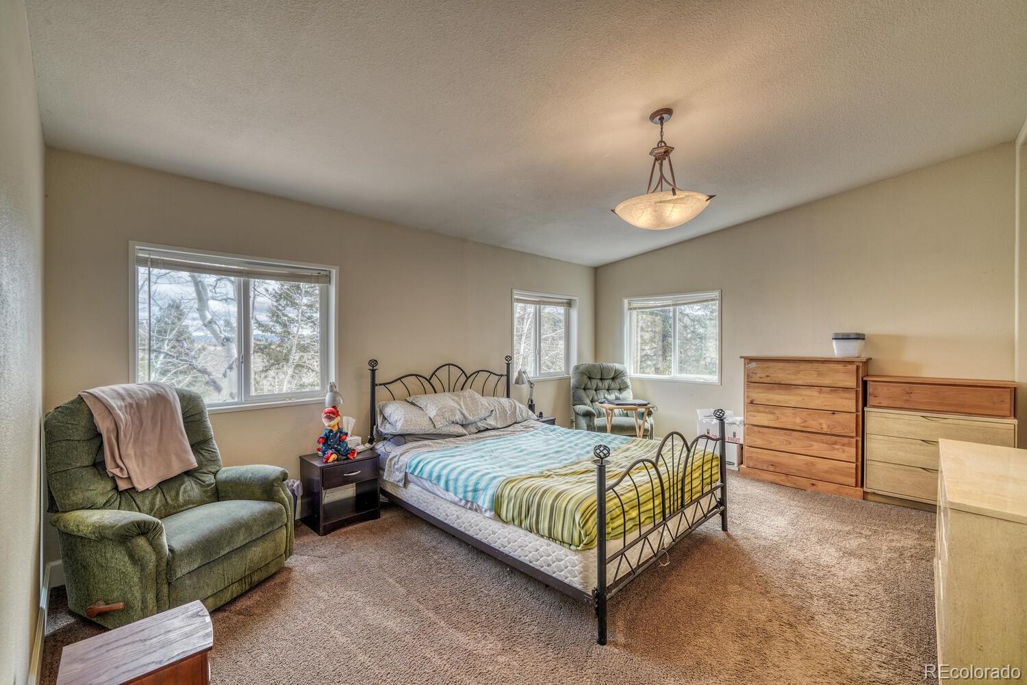 246 Sombrero Road Hartsel, CO 80449 - Photo 7 of 35 a bedroom with a bed a couch and dresser