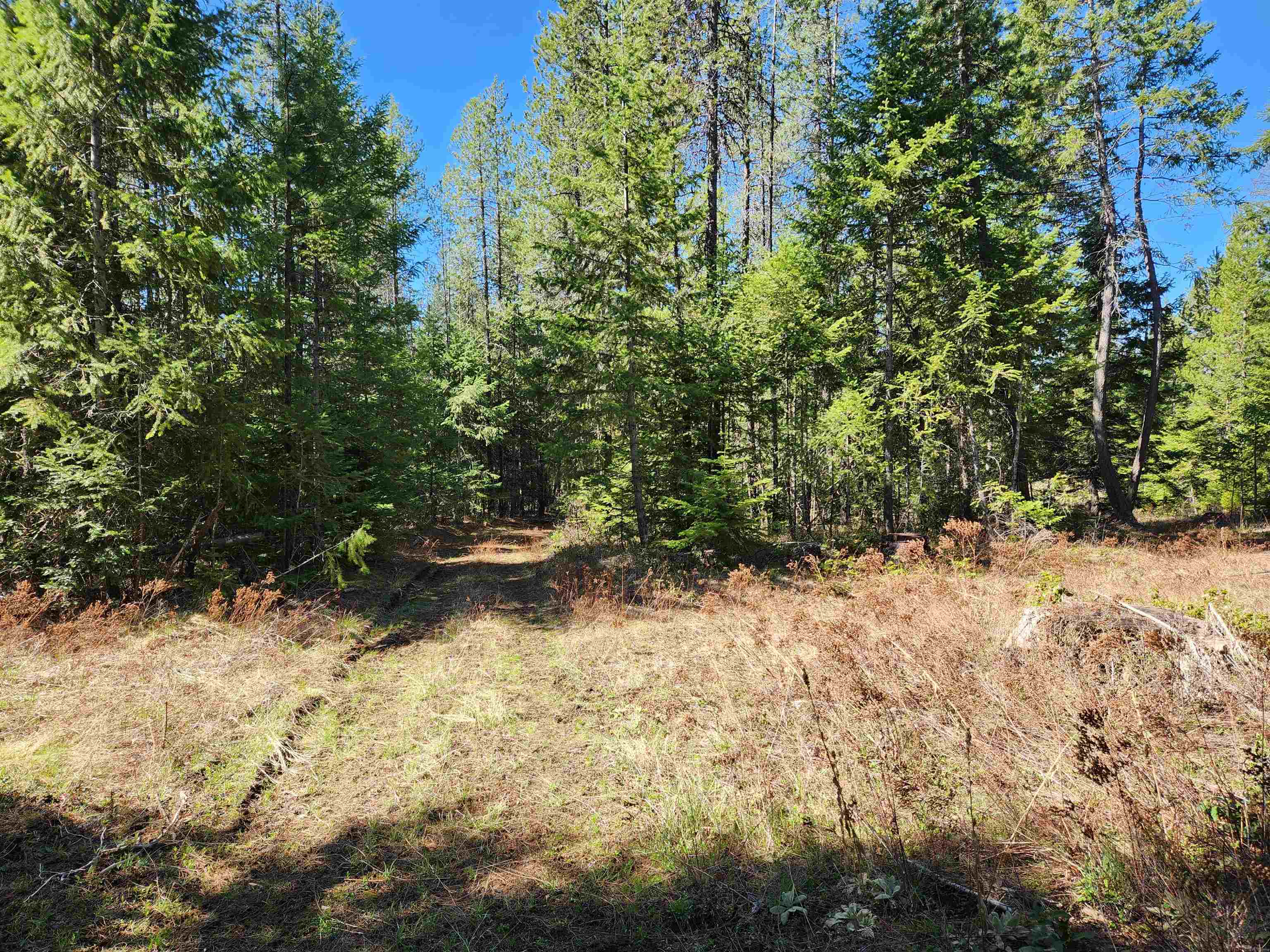 4849 Getna Way Springdale, WA 99173 - Photo 43 of 44