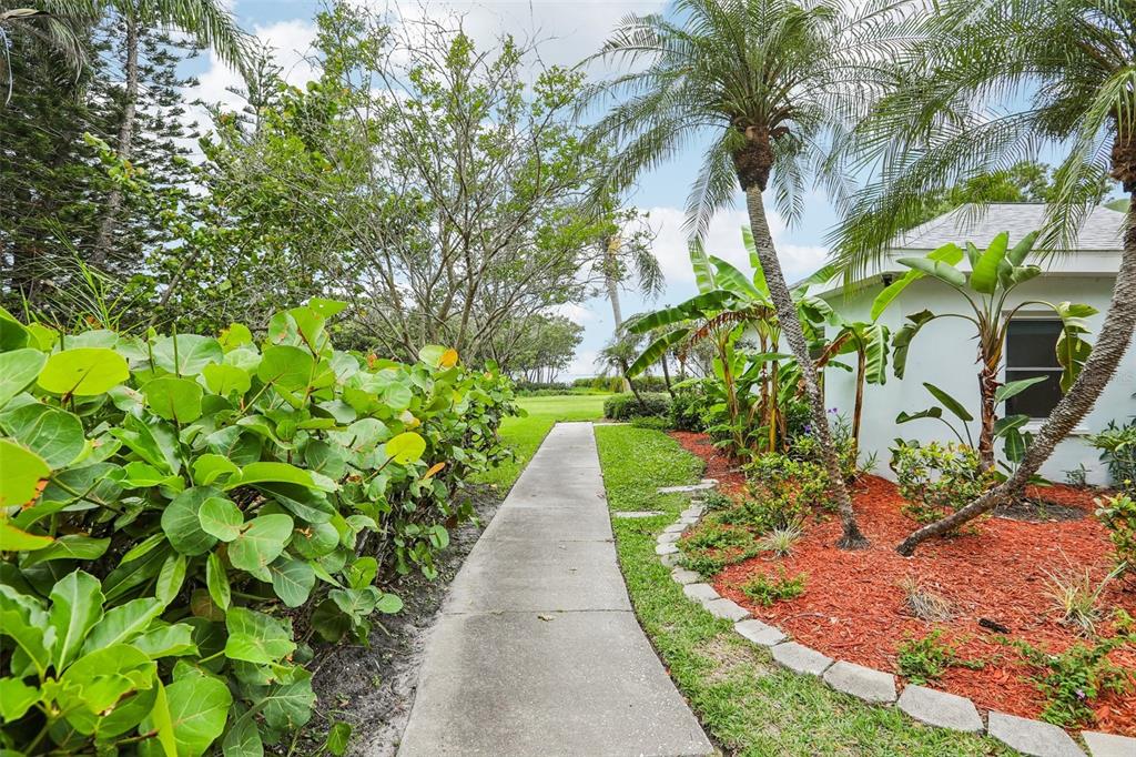610 Indiana Avenue Crystal Beach, FL 34683 - Photo 36 of 53