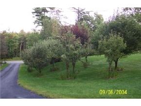 55 Pleasant Hill Road Deerfield, NH 03037 - Photo 5 of 5 Gallery Image 5