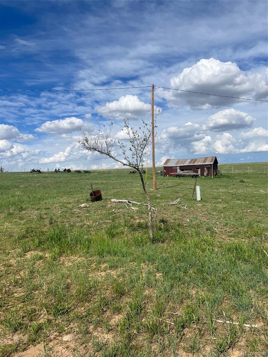 39876 Funk Road Ramah, CO 80832 - Photo 3 of 19 a view of a garden with an outdoor space