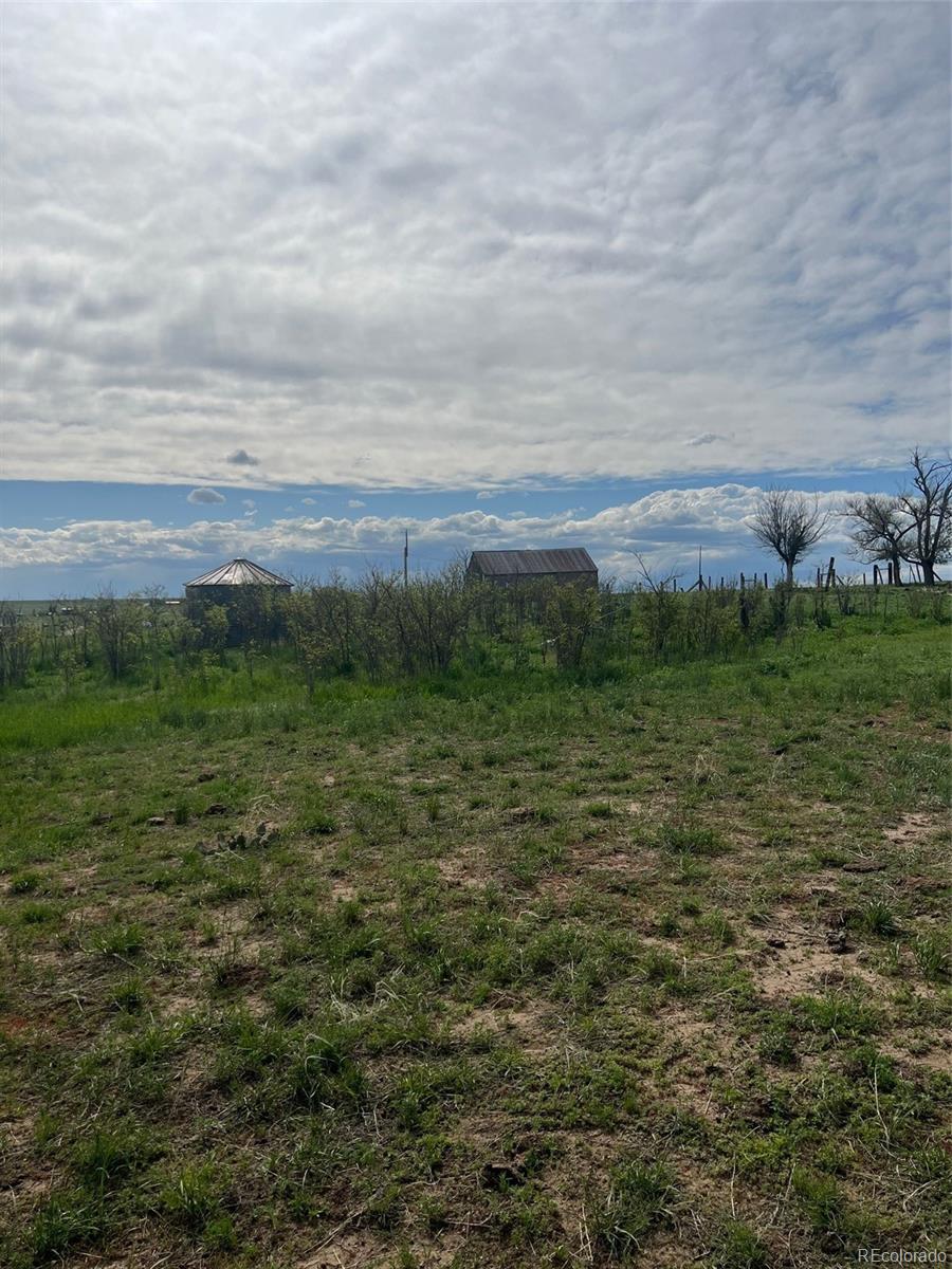 39876 Funk Road Ramah, CO 80832 - Photo 6 of 19 a view of a field with an ocean and trees