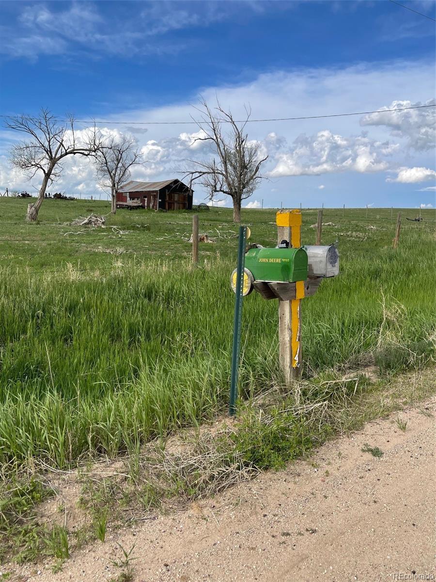 39876 Funk Road Ramah, CO 80832 - Photo 9 of 19 a view of a yard in a yard