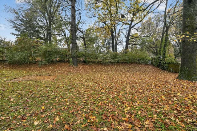 a backyard of a house with large trees and brick wall