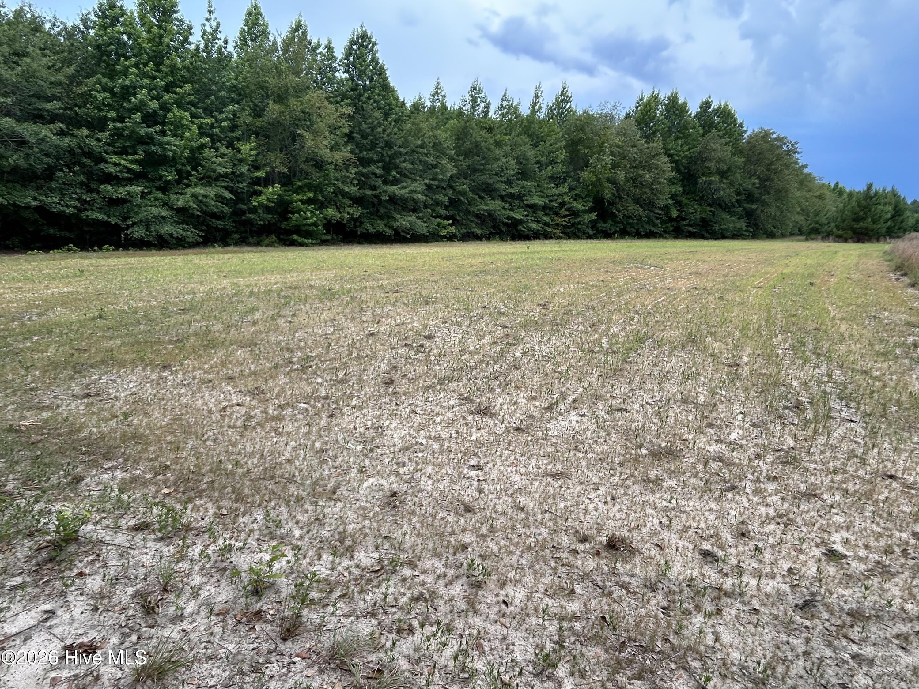 0 Autrytown Road Elizabethtown, NC 28337 - Photo 47 of 51 Gallery Image 47