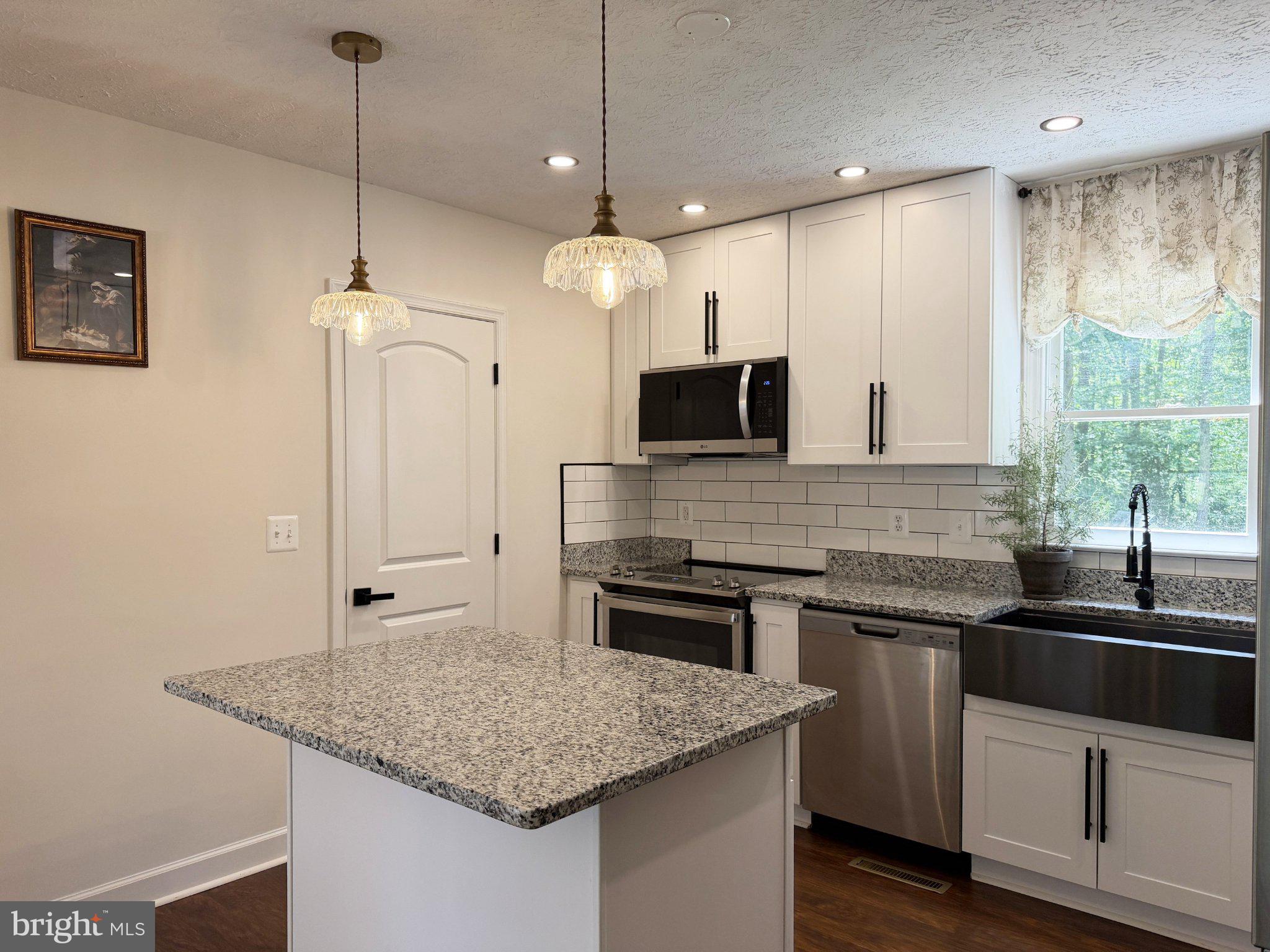 2208 Cartersville Road Mineral, VA 23117 - Photo 15 of 44 Modern kitchen with elegant finishes.