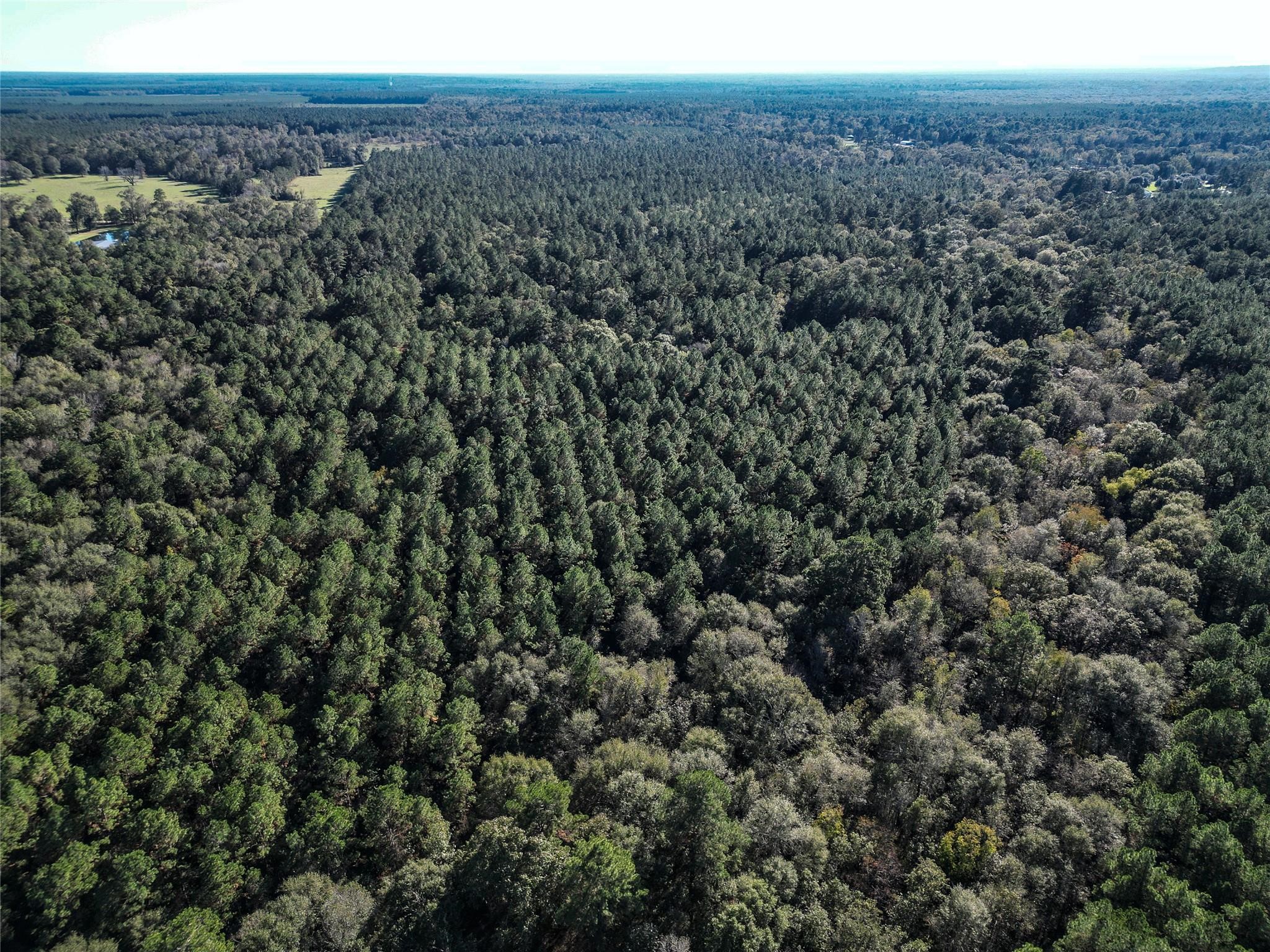 0 County Road 2125 Cleveland, TX 77327 - Photo 6 of 15