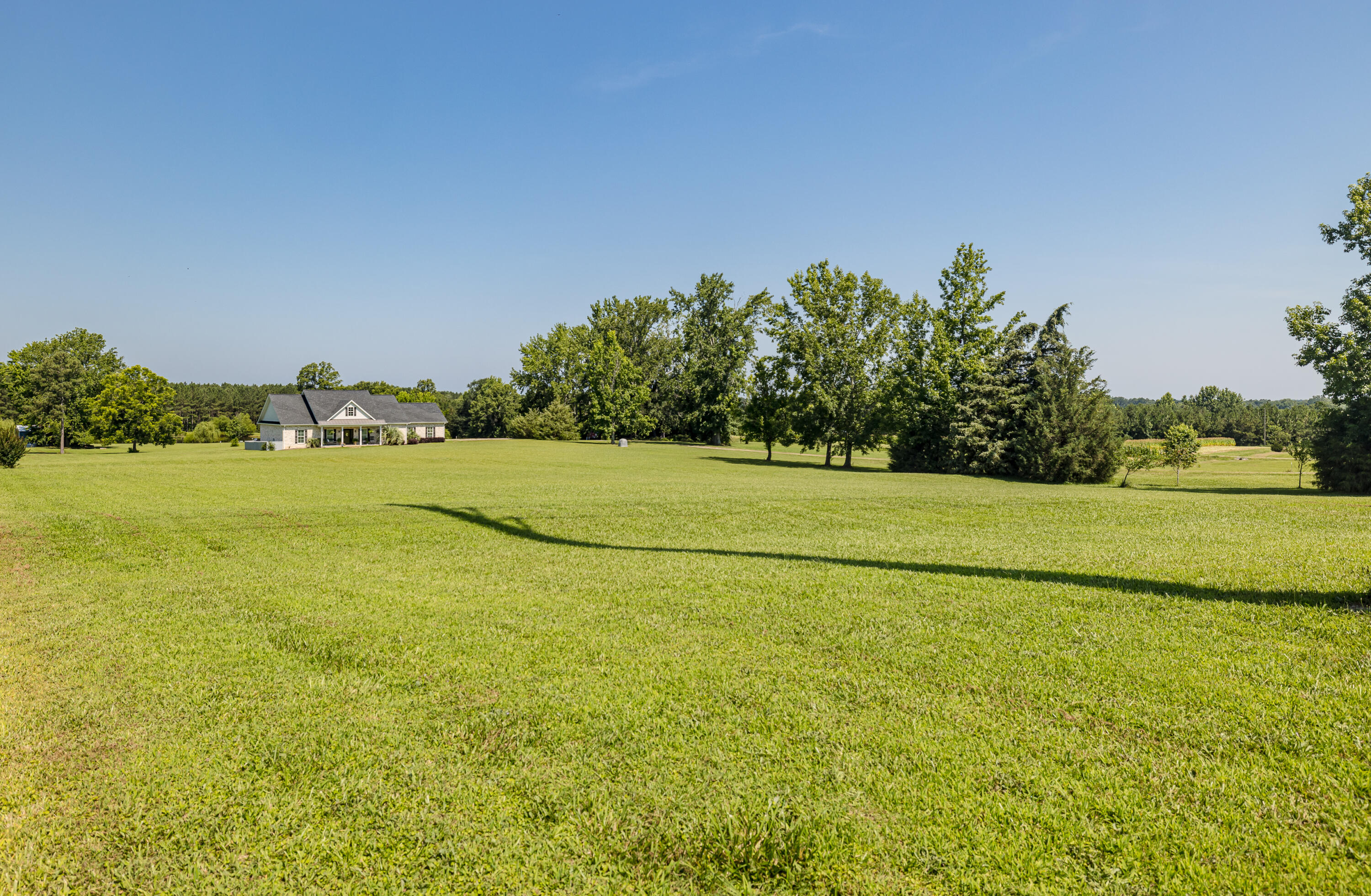 165 Lanier Road Johnston, SC 29832 - Photo 2 of 75 165LanierRd-02