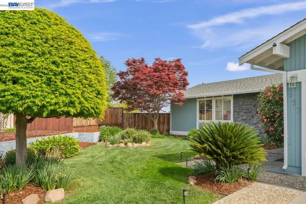 a view of a house with a yard and plants
