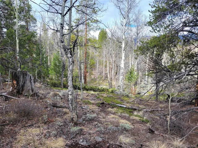 $250,000 | Edward Hill Drive East, Twin Lakes, CO 81251