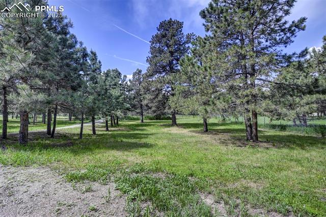 18085 Table Rock Road Colorado Springs, CO 80908 - Photo 34 of 46 Gallery Image 34