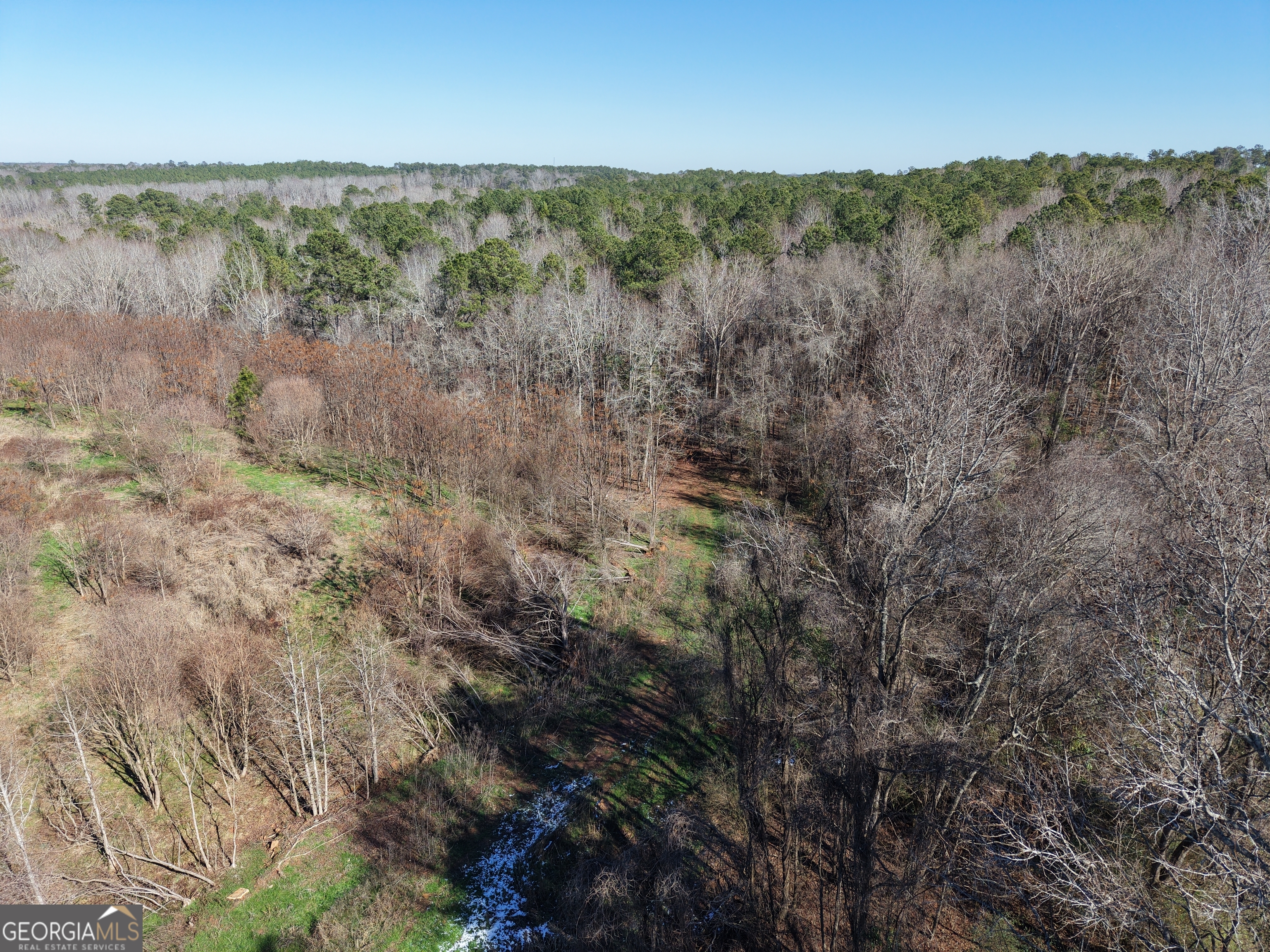40-acres Pobiddy Road Thomaston, GA 30286 - Photo 12 of 24 a view of a forest with trees in the background
