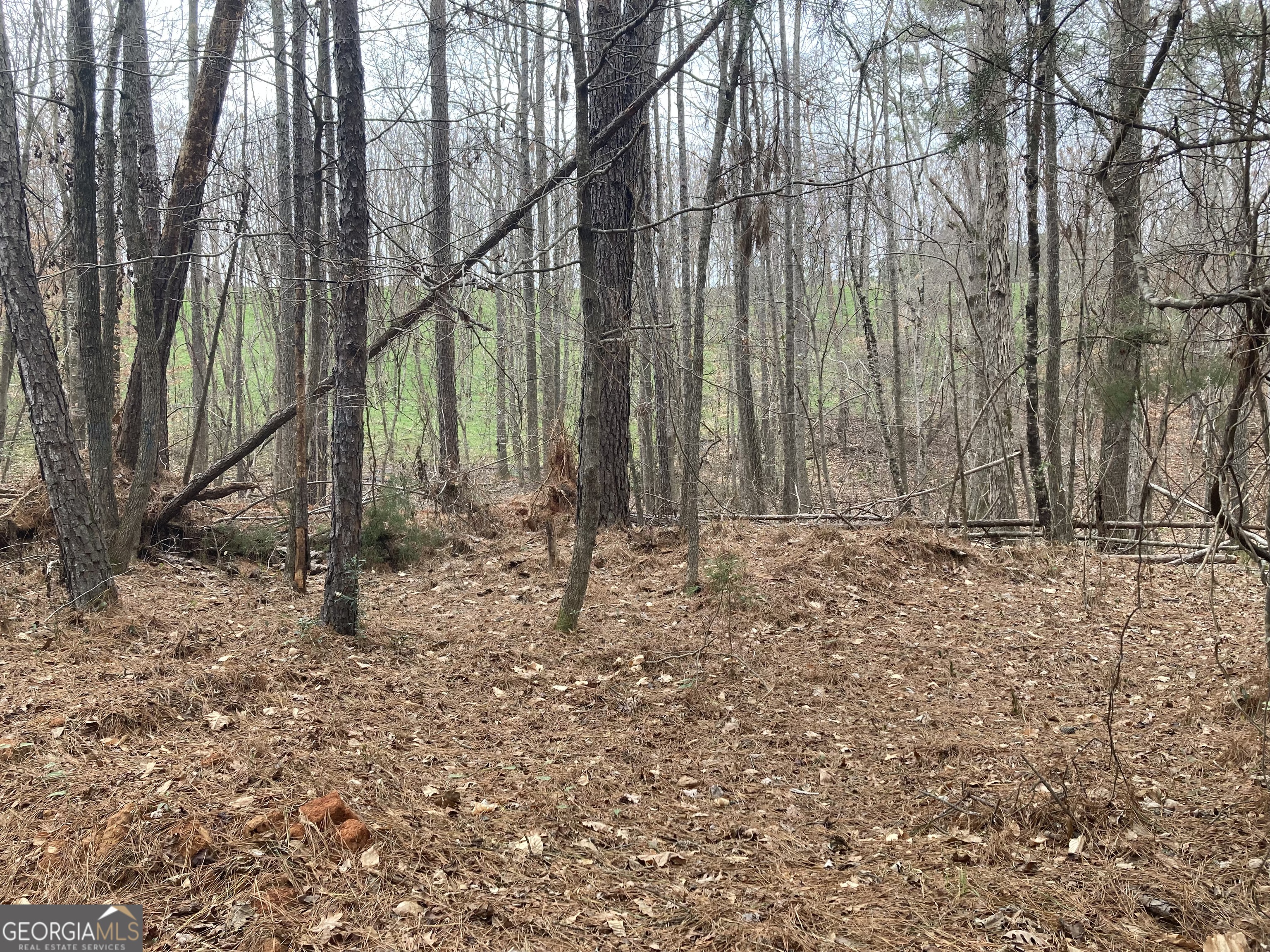 40-acres Pobiddy Road Thomaston, GA 30286 - Photo 15 of 24 a backyard of a house with lots of green space