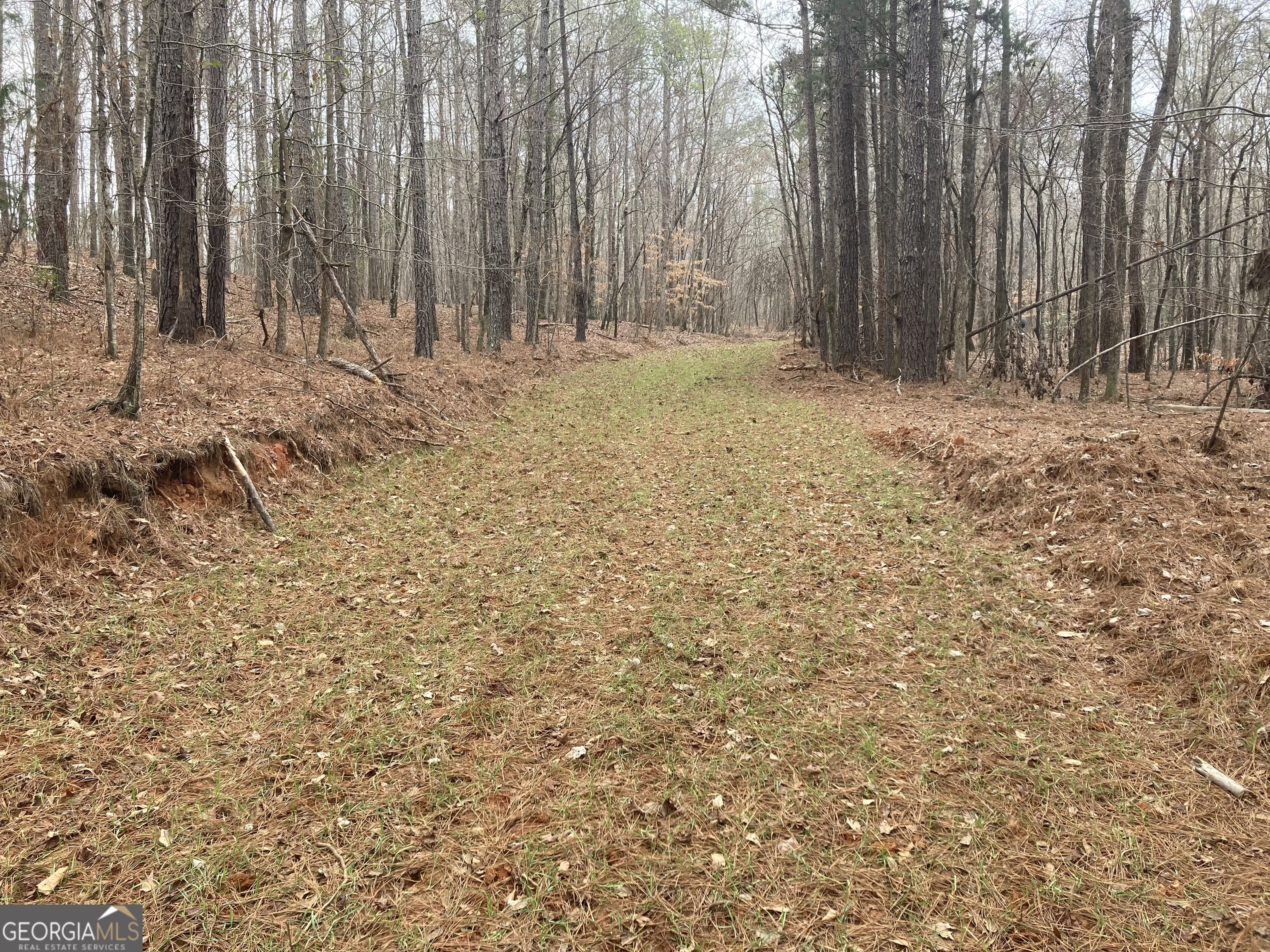 40-acres Pobiddy Road Thomaston, GA 30286 - Photo 17 of 24 a view of wooden fence