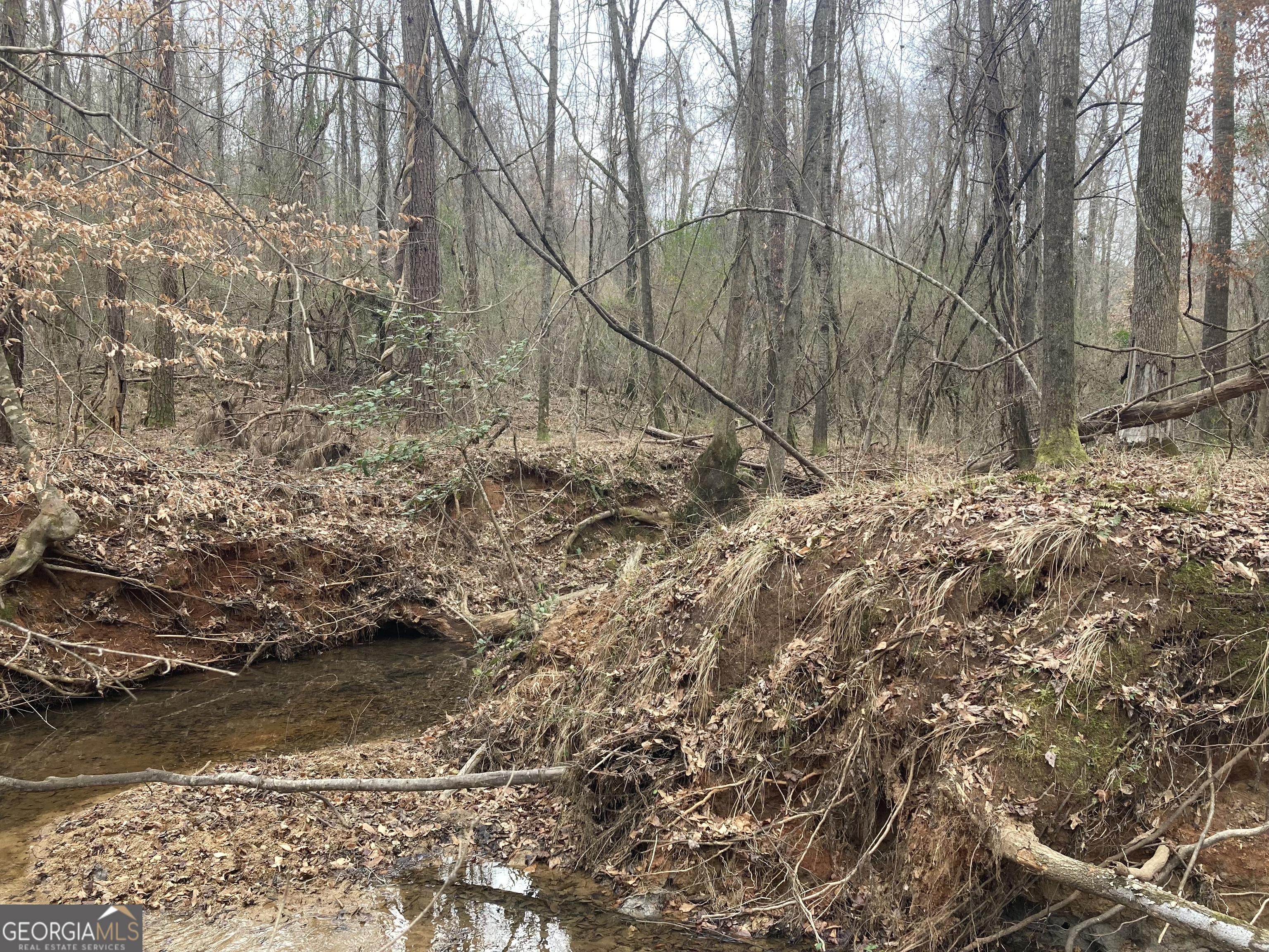 40-acres Pobiddy Road Thomaston, GA 30286 - Photo 19 of 24 a view of a yard with trees